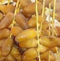 Tinassar Laghouat
