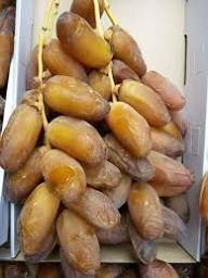 Hamraya Brune Béchar