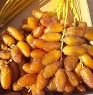 Ghars Premium Touggourt